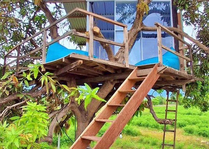 A Mango Tree House With A Private Swimming Pool