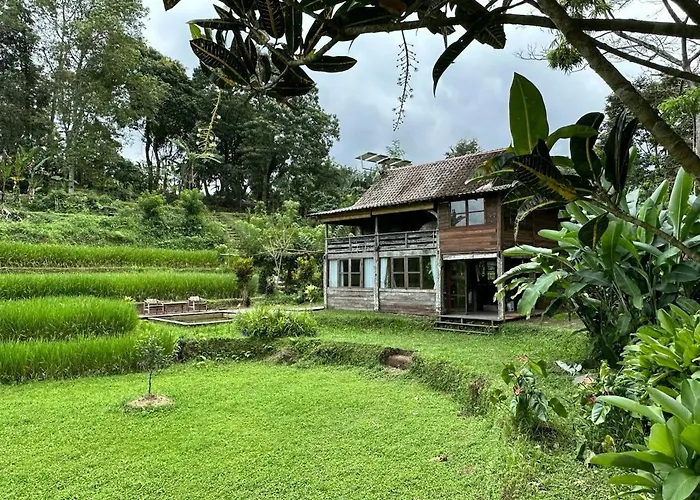 Joglo River Pure Nature Lodging