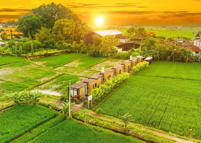 Wander Havens Digital Nomad Tiny Houses