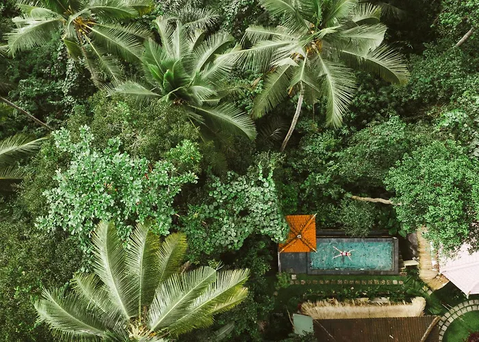 The Nest In Ubud