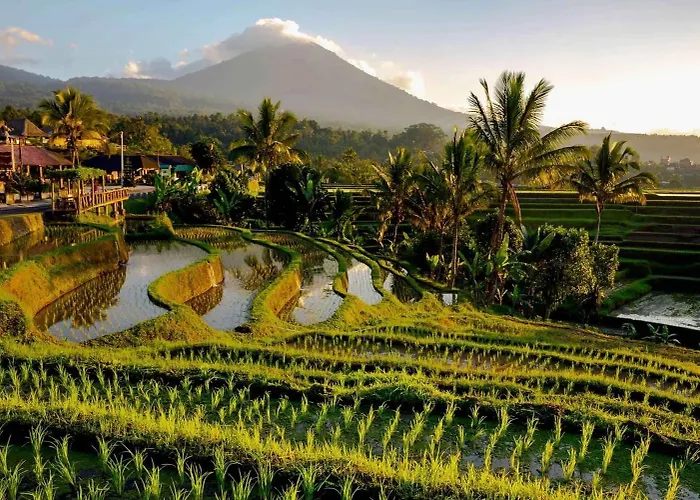 Dedari Lodge Jatiluwih Rice Fields