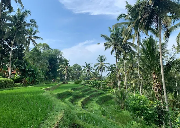 Ani'S Traditional Jungle Villa Ubud