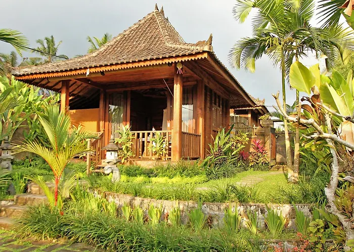Belvilla Moksha Ceking Rice Terracenearubud Jungle Swing