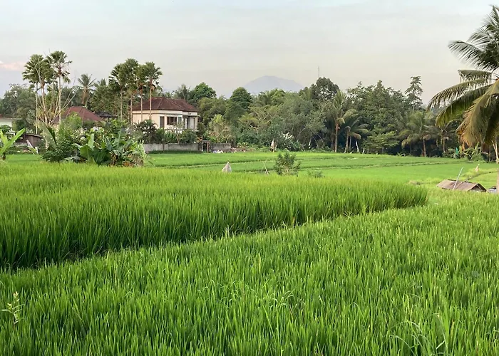 Beautiful Villa Private Pool Walk To Town Center Sunrise Views