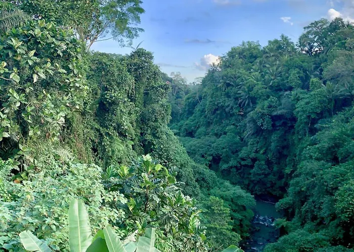 Ubud Jungle River