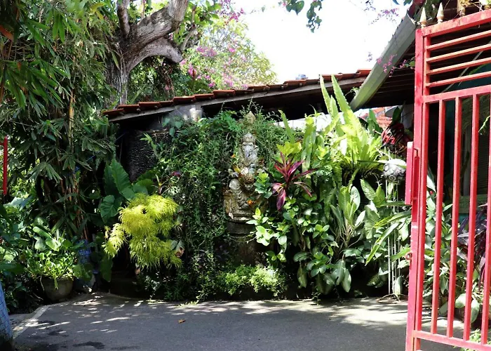 Orchid House