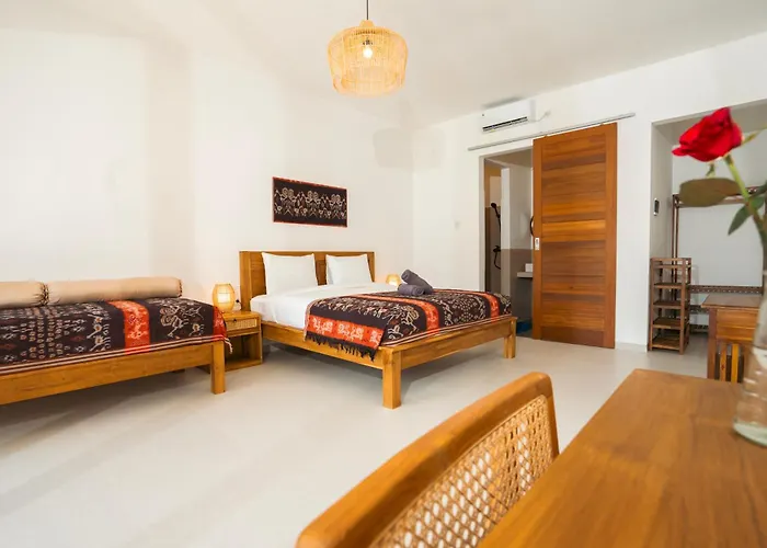 Zena Surf Suite