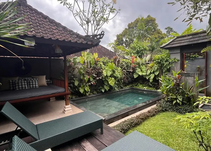 Badra House Bougainvillea