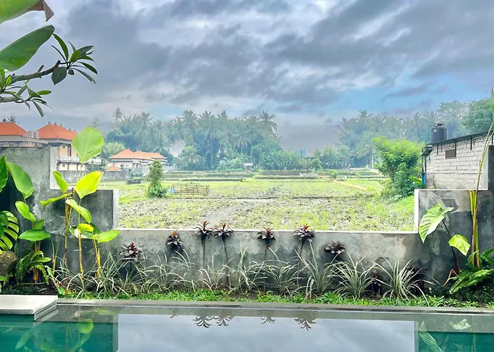 Cozy 1Bedroom View Ricefields