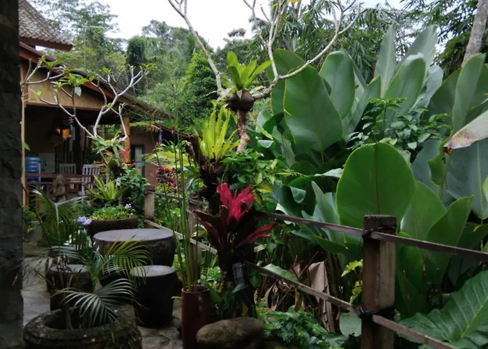 Umah Mimpi