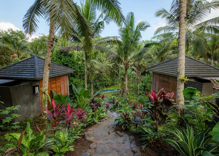 Bali Secret Jungle