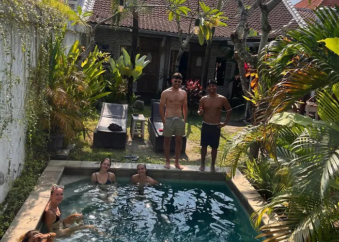 The Jungle House