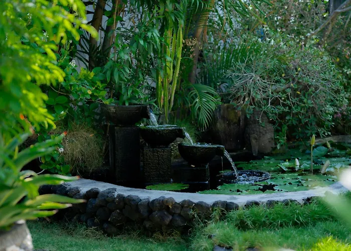 The Bbq Guest House