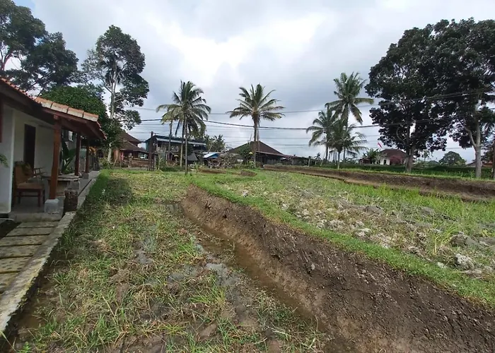 Rumah Kemuning Bali