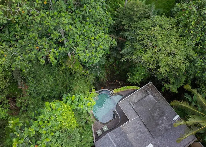 Jati Ubud