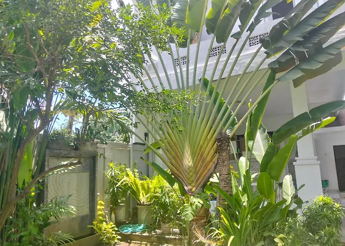 Merry'S House Canggu
