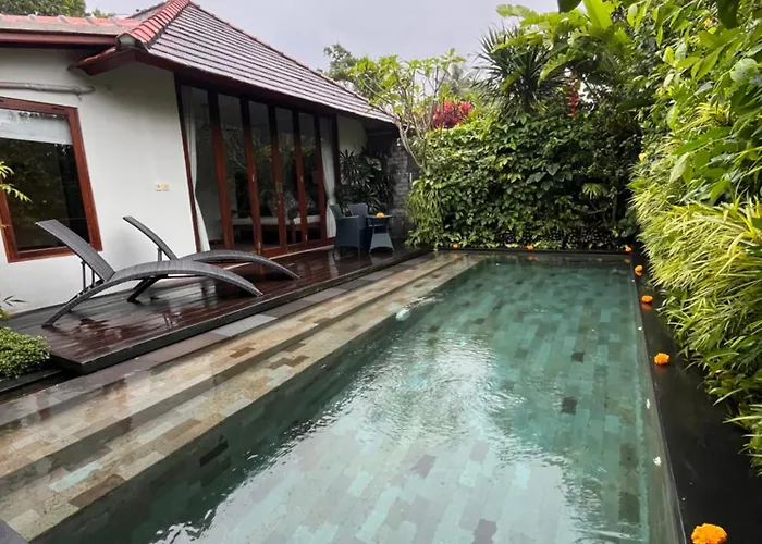 Badra House Hibiscus