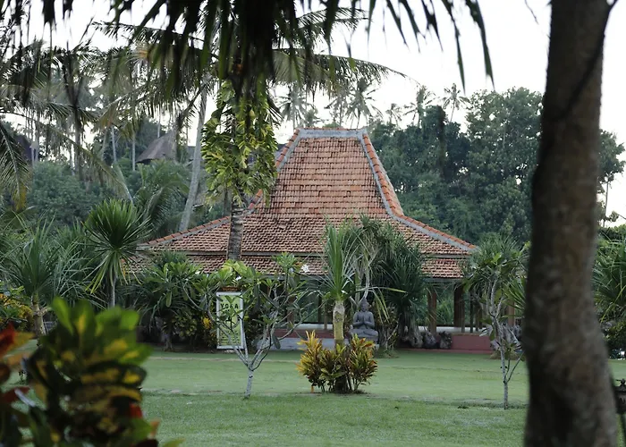 Pondok Pitaya Hotel, Surfing & Yoga