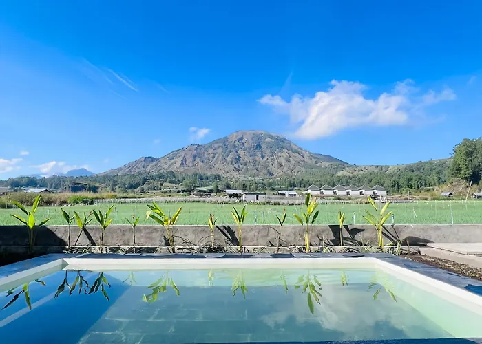 Wiguna Kintamani Mount Batur View