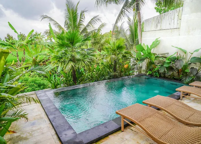 Ubud Peacefull With Rice Fields View With 2 Bedroom