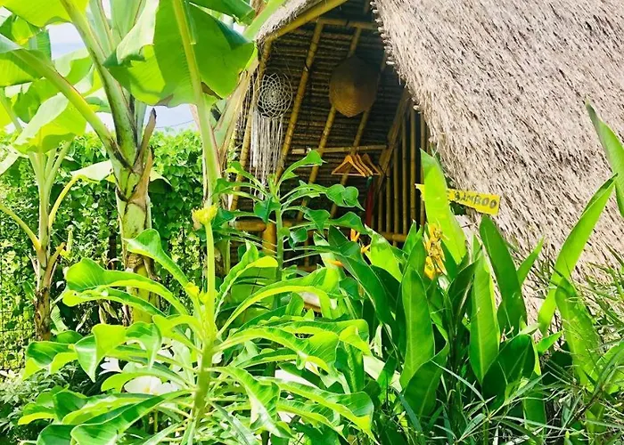 Eco Bamboo Jungle