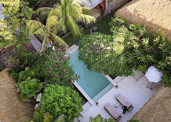 Liv Canggu - An Urban Sanctuary