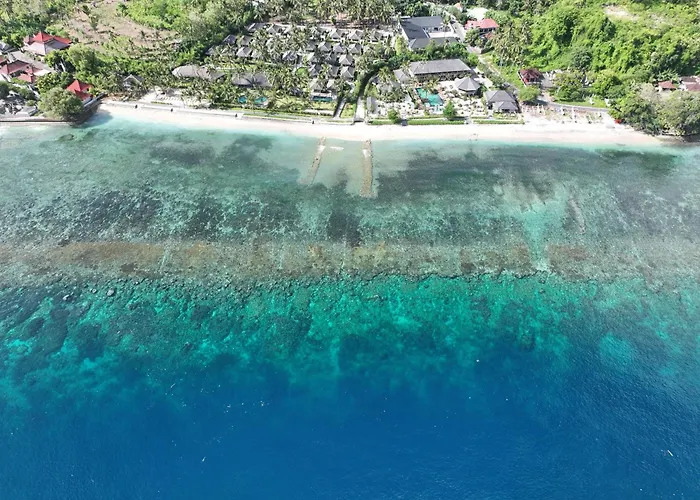 Seven Dreams A Pramana Experience