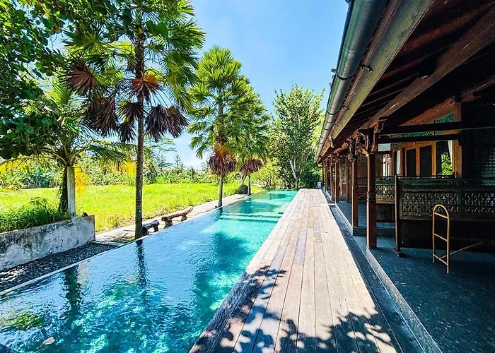 Living Ubud