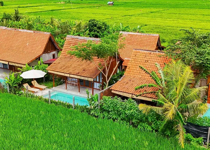 Rumah Tengah Sawah Bali