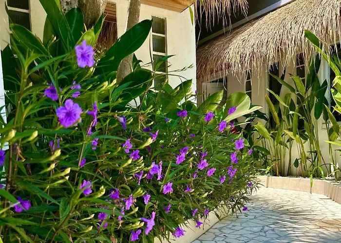 Villa Vela 2 Bedroom - Vela 3 With Private Pool & Rooftop