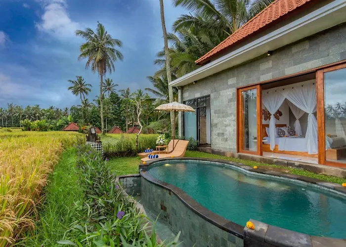 The Alus Villa And Suite