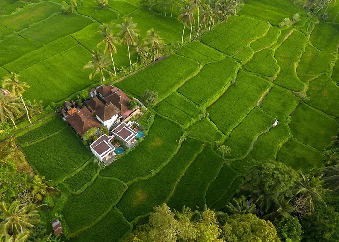 Umah Geina Ubud