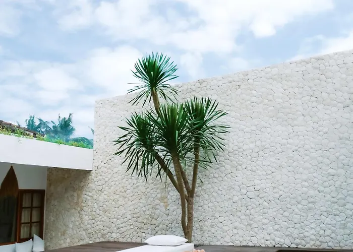 The Stone Nest Canggu