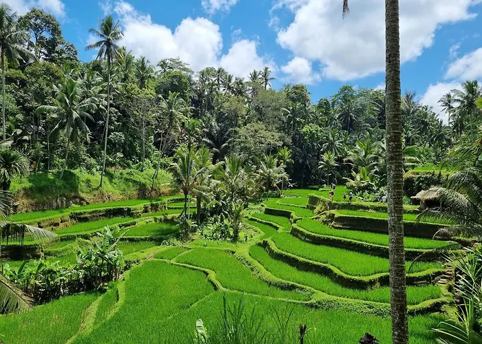 Gongwi Cottages Sidemen