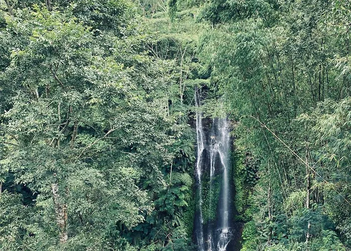 Munduk Tutub Waterfall View Guest House