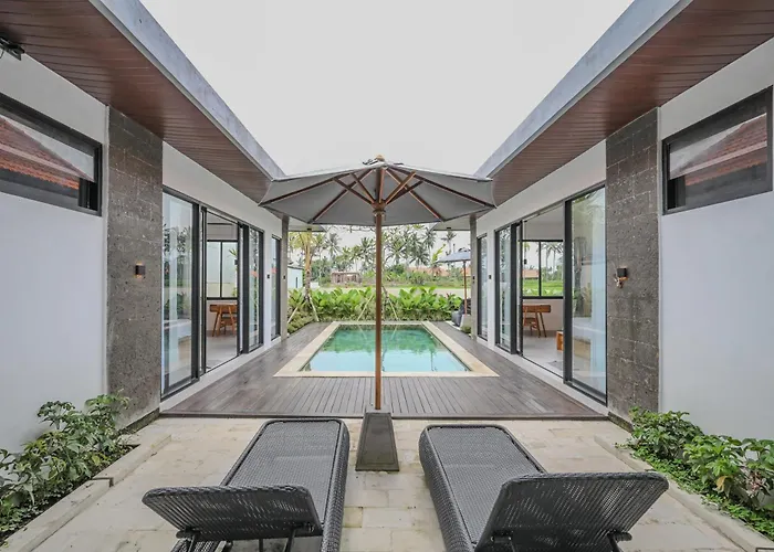 Villa Lily Soca