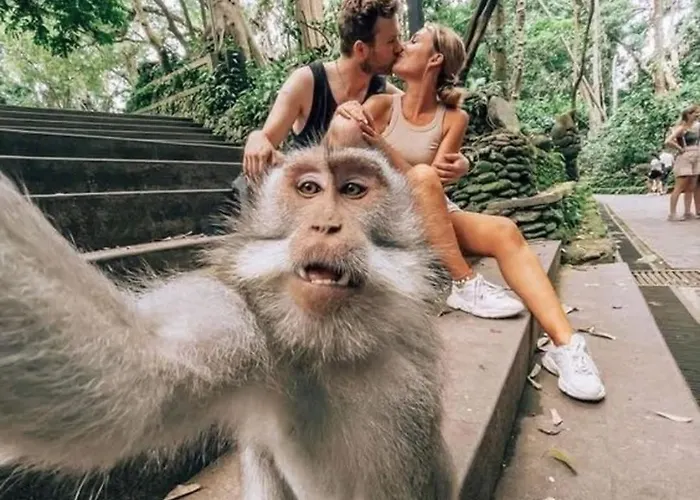 Ubud Classic Day Trip