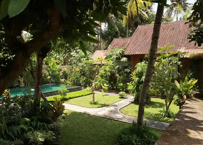Gekko Garden