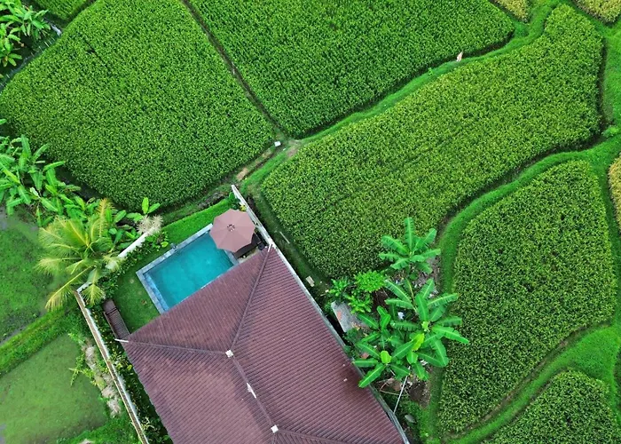 Griya Mandara Ubud Bali Rice Field Privat Pool Villa