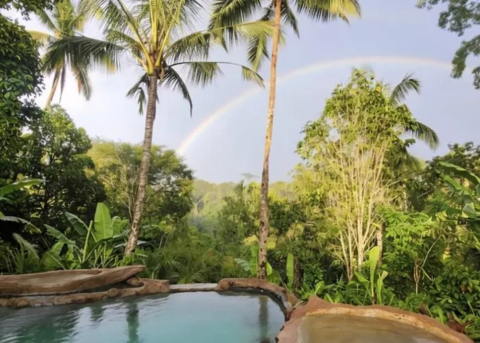 Artsy Cabin Jungle Pool & Unique Car Bath