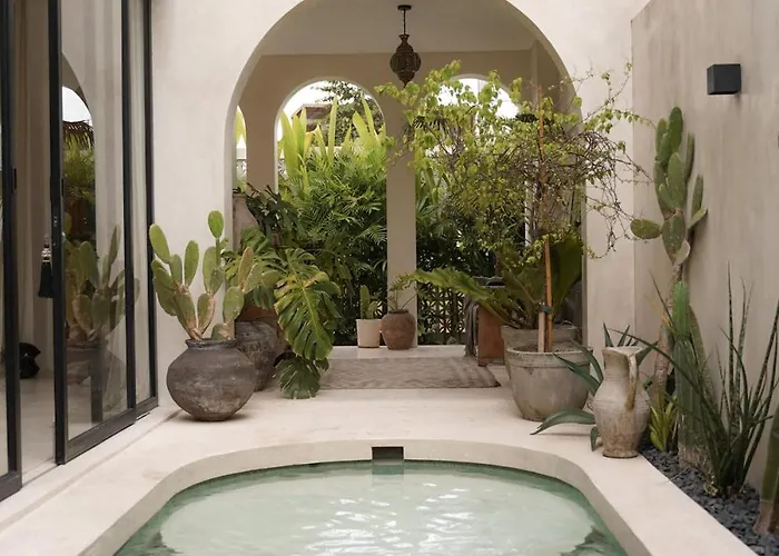 Casa Tamela - Elevated 1Br Mediterranean In Canggu