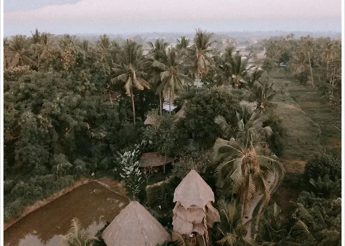 Firefly Eco Lodge