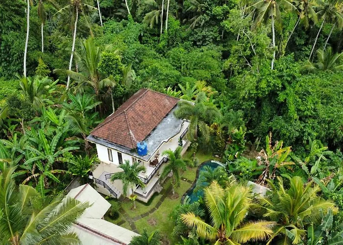 Junjungan Guest House New Brand