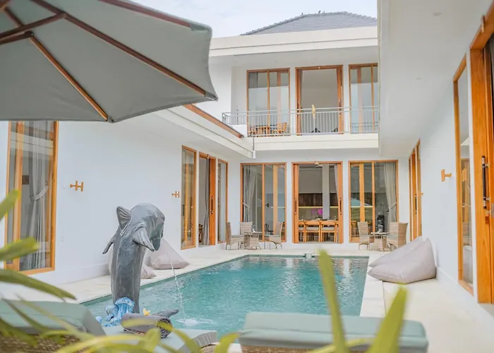 Dolphin - New Luxury Rooms In Lovina Centre & Near The Beach