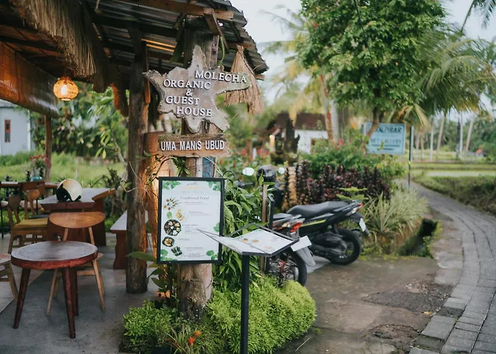 Sawah Manis Guest House