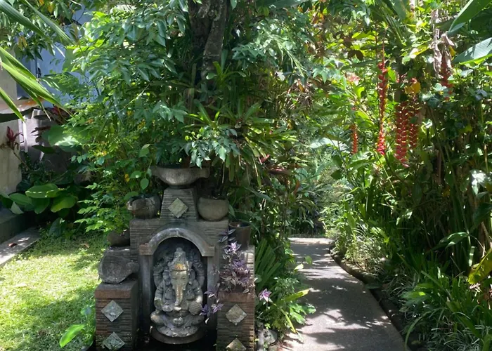 Moning Junggel View