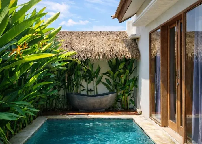 Kiki Village Paddy Field