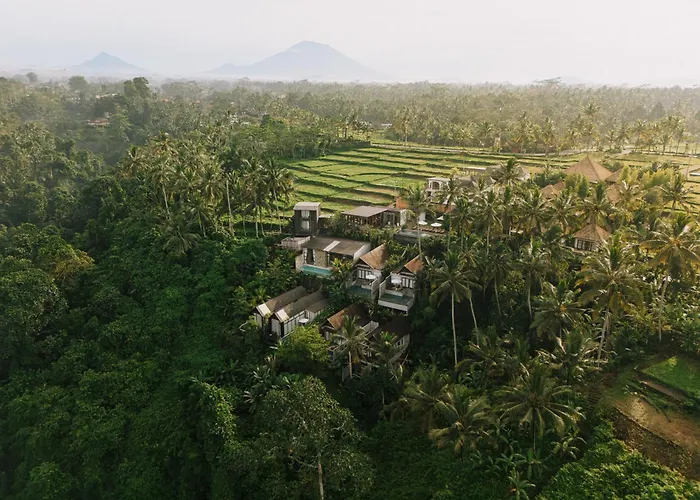 Magical Jungle Resort