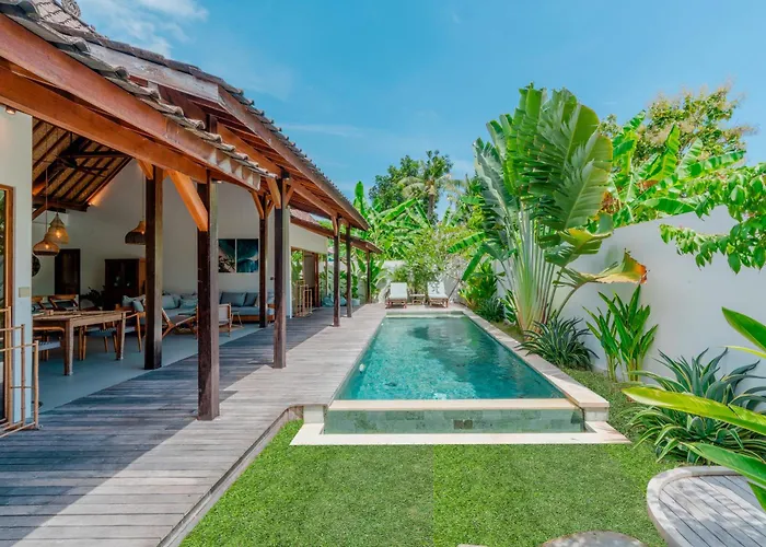 Palm Paradise