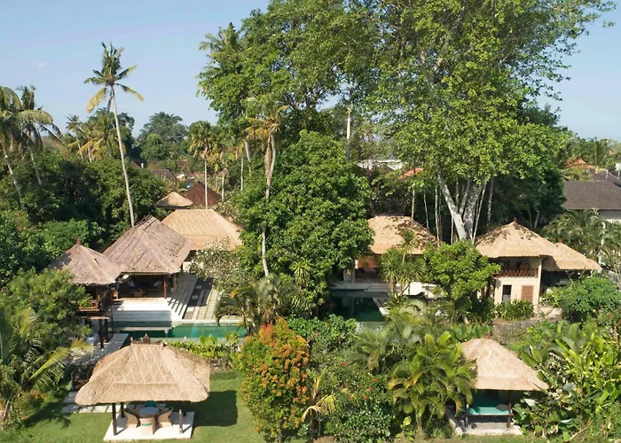 Tamu Seseh